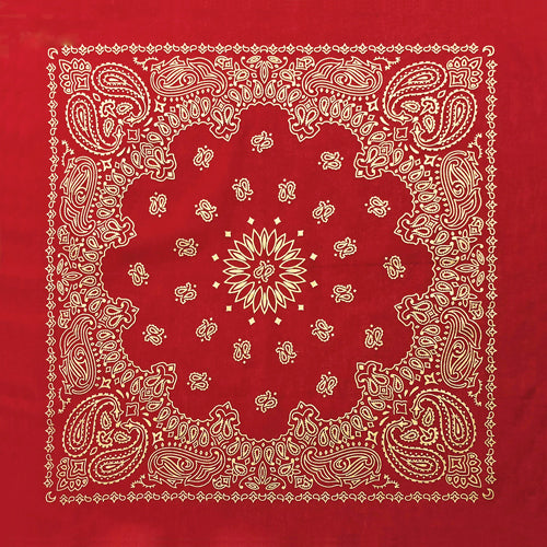 Red Metalic Paisley